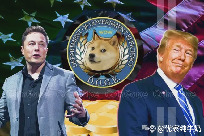 狗狗币热潮下，4 个值得关注的竞争对手
